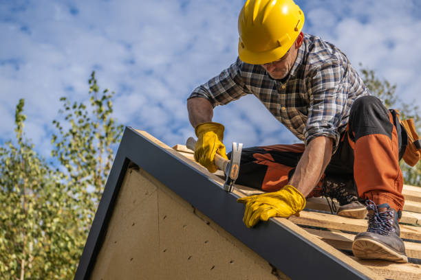 Best Solar Panel Roofing Installation  in Van Meter, IA